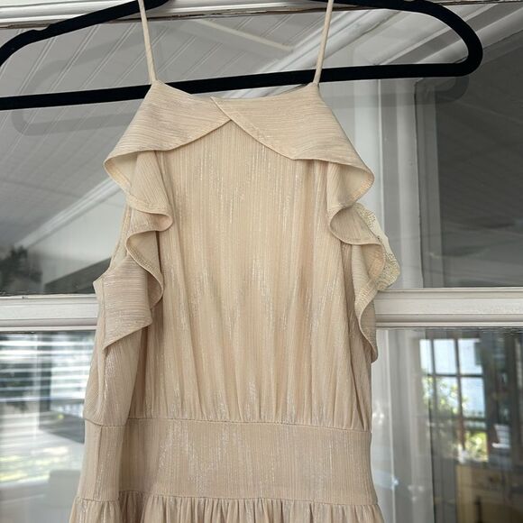 NWT Altar’d State Taupe Shimmer Dress - Picture 5 of 8